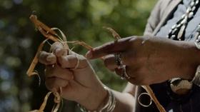 Documentaries Centering Indigenous Voices